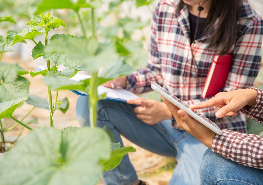 Jóvenes estudiando una planta.