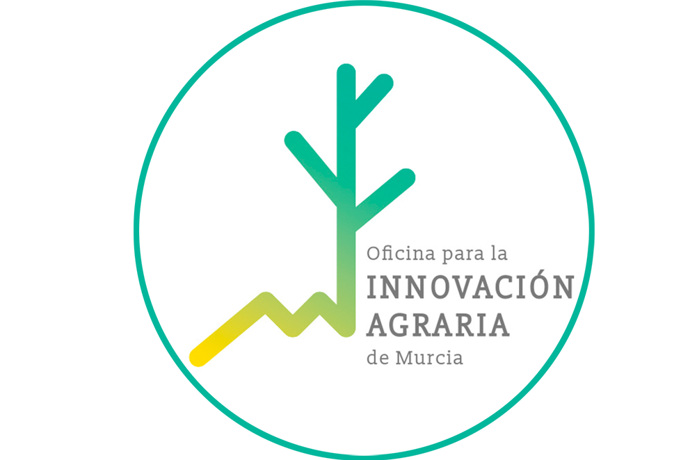 Creación y funcionamiento de Grupos Operativos de la AEI