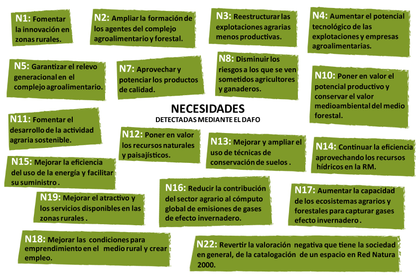Necesidades destacadas por el DAFO