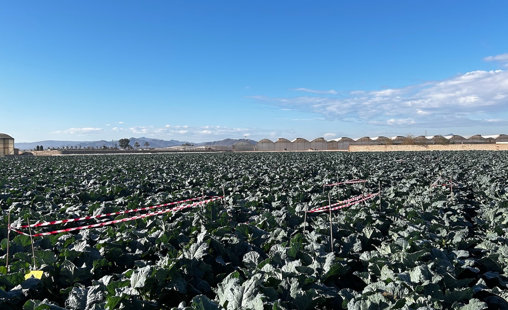 Nuevas estrategias para la mejora, sostenibilidad y competitividad en el uso del agua para la agricultura